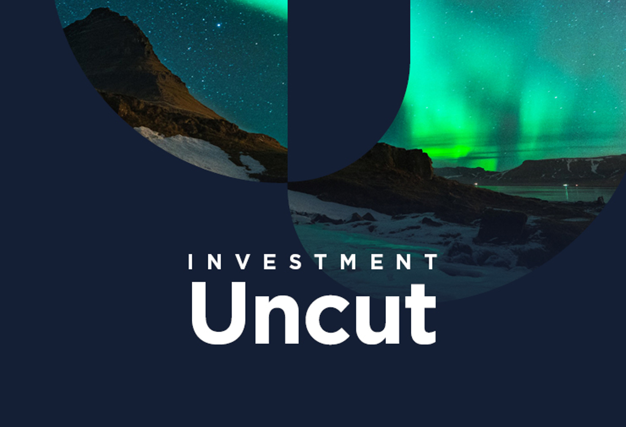 Investment Uncut