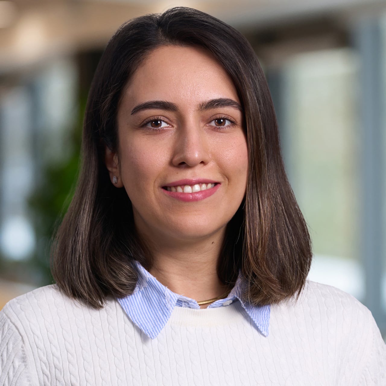 Elnaz Azizi