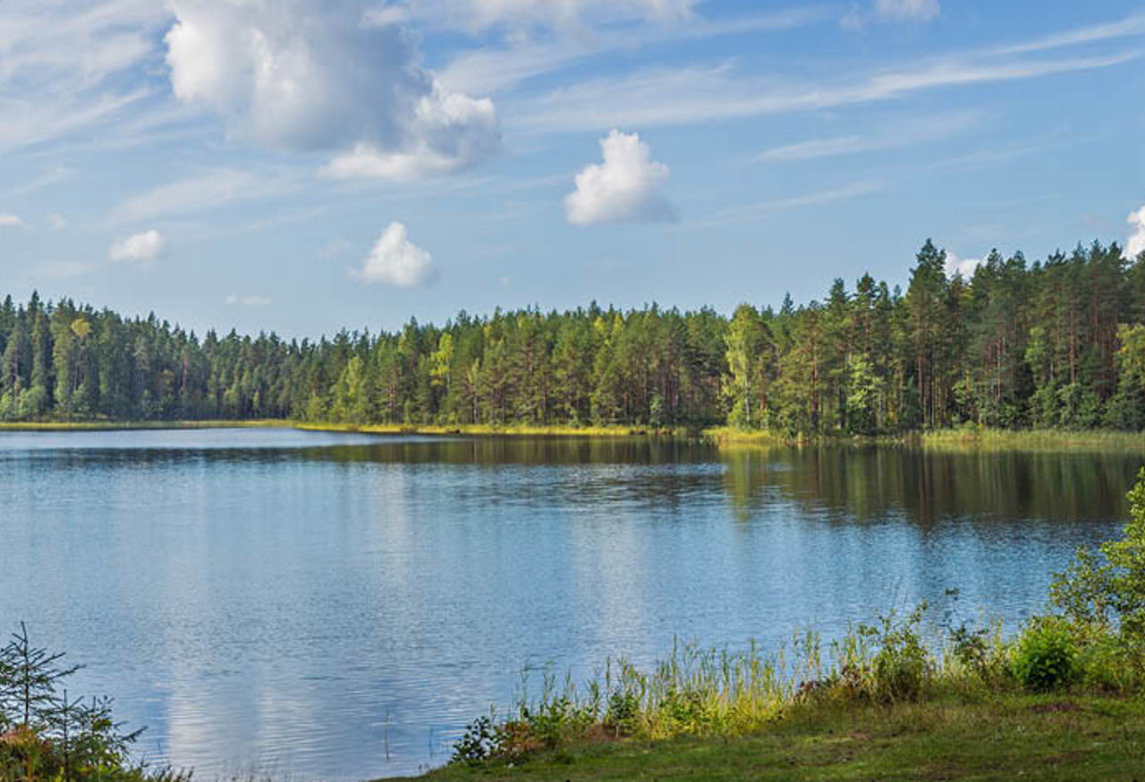 Blue sky over a lake in a forest