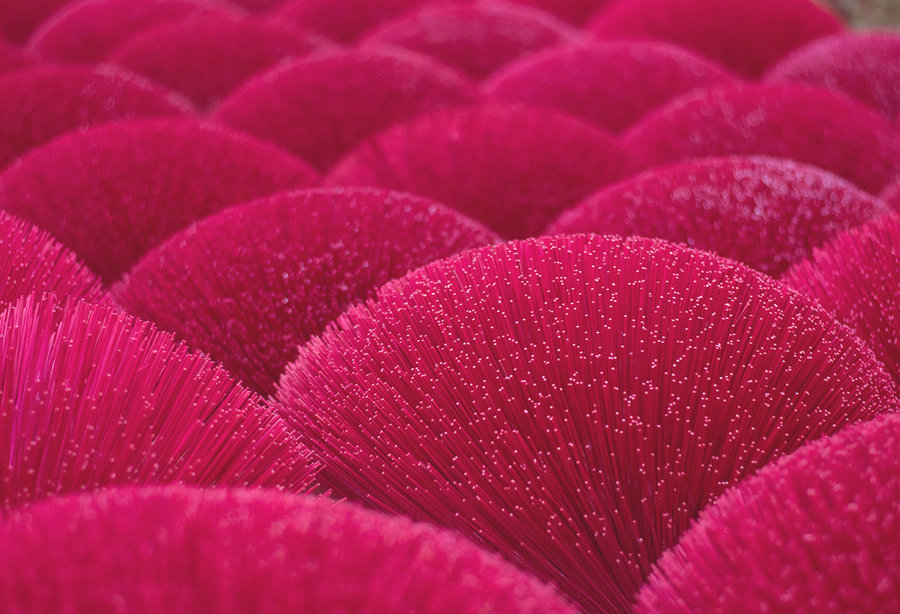 Abstract pink shapes