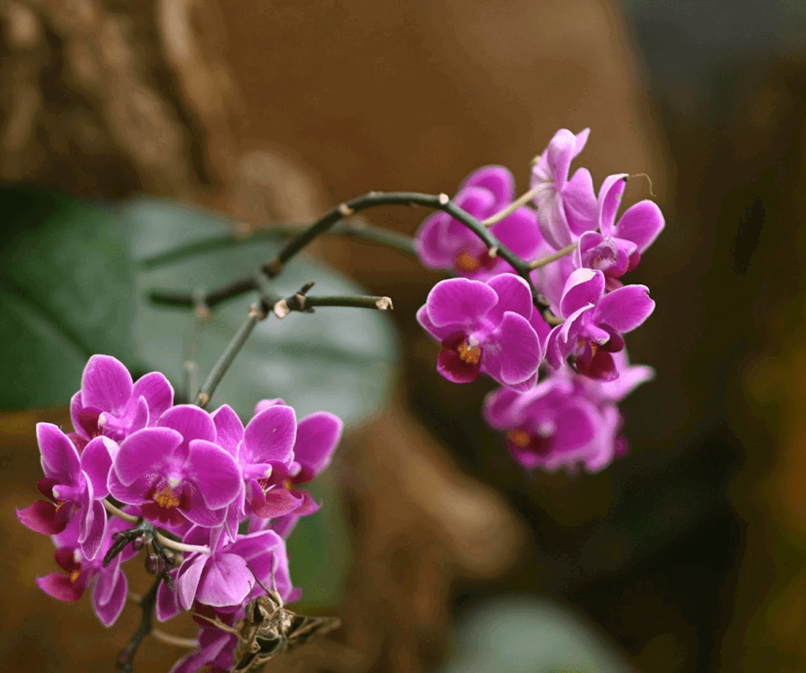 How can AI support better financial wellbeing for employees?