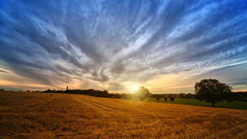Sunset over farm
