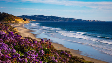 San Diego Coast Line