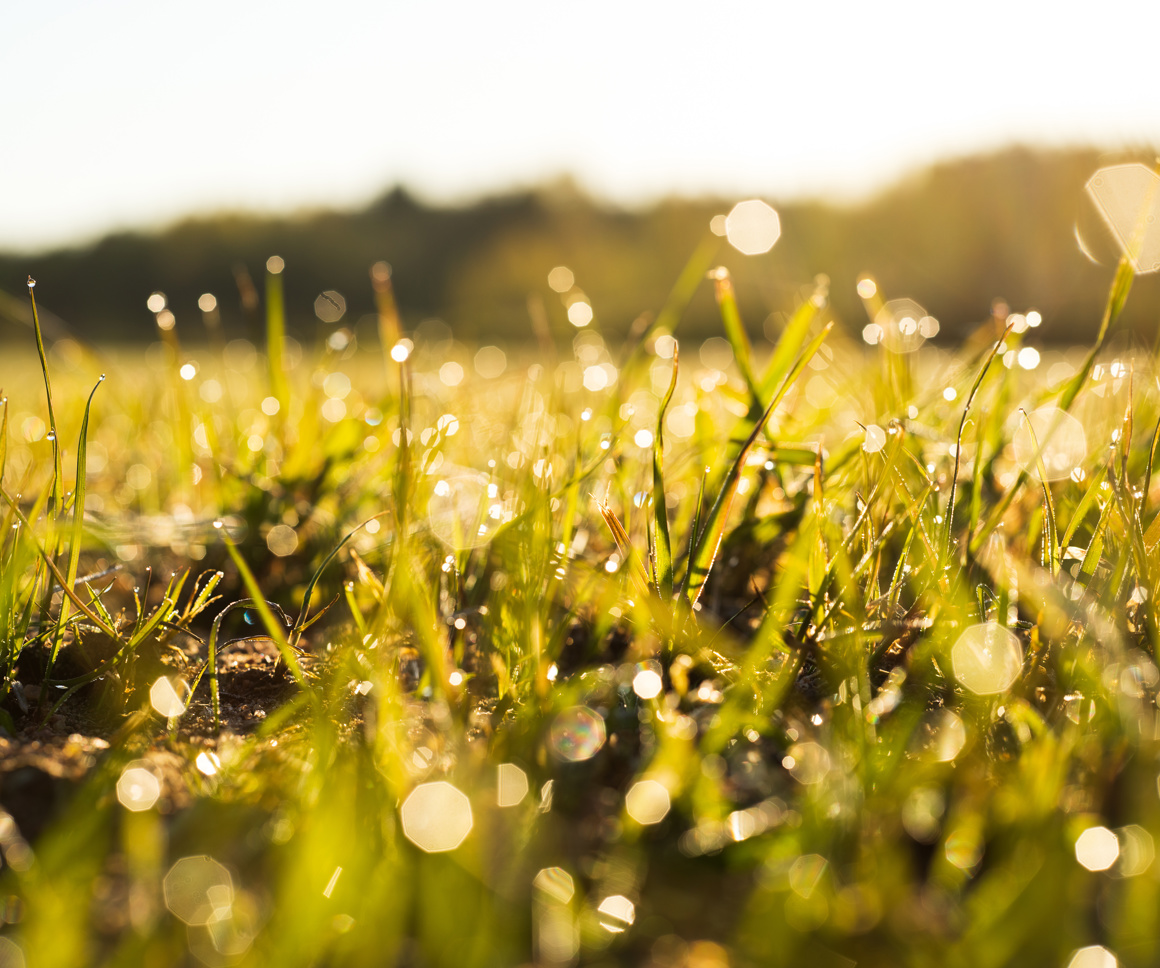 LCP impact report 2025