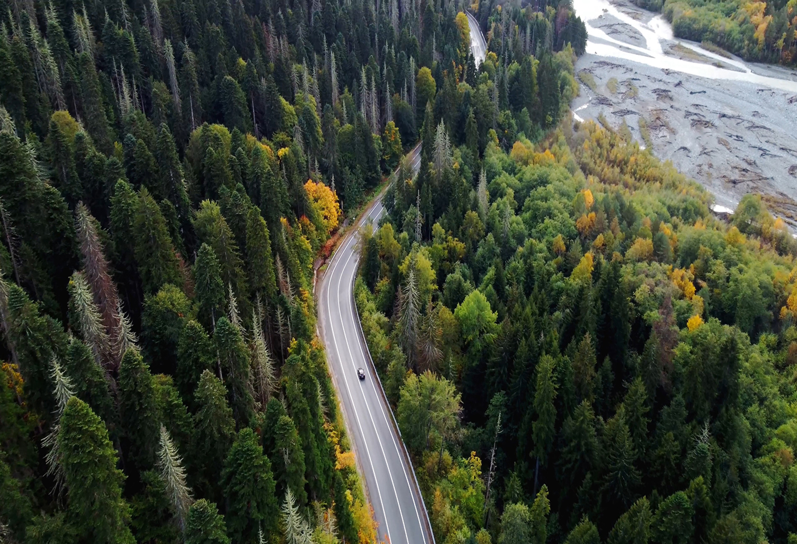 Arial view of a road through a forest