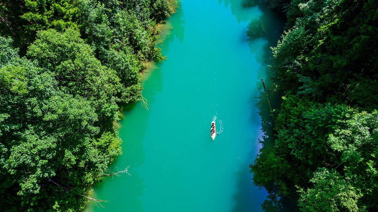 Canoeist travelling on a river with forest each side