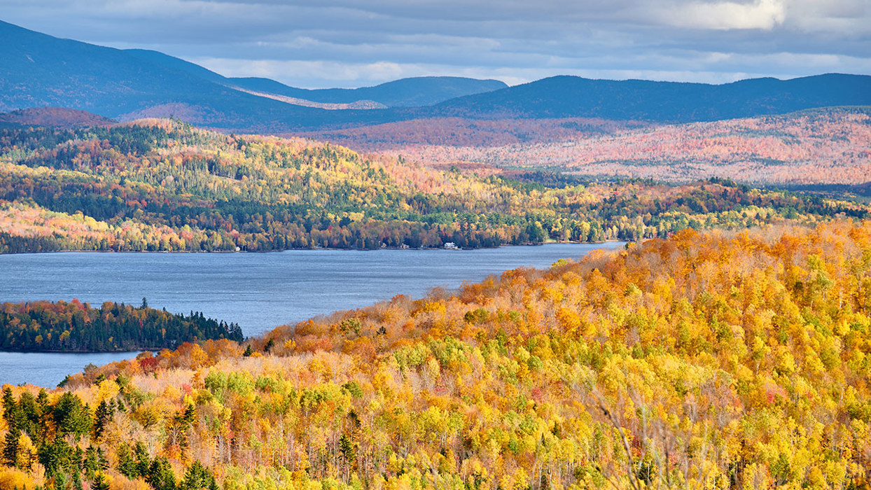 Aspen Woods And Lake