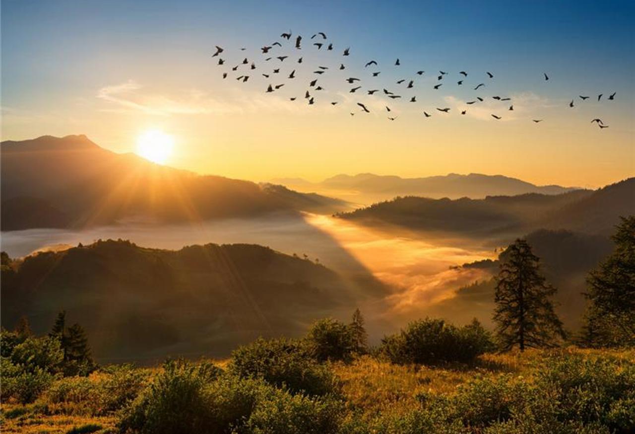 DB Pensions Priorities Survey