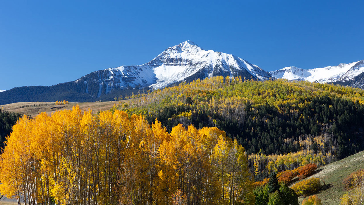 Aspen Valley In Front Of Mountain