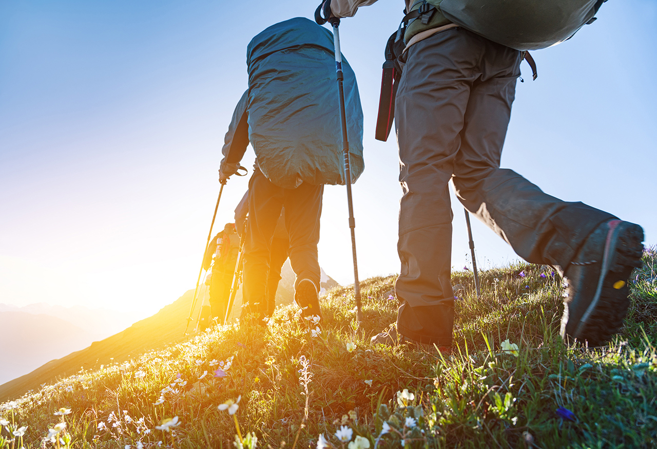 People walking through wildflower field