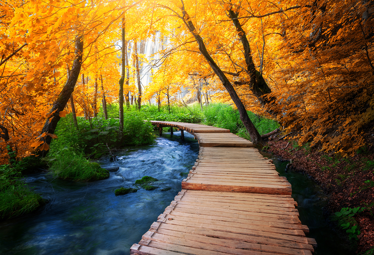 Wooden bridge crossing a river in an autumnal forest