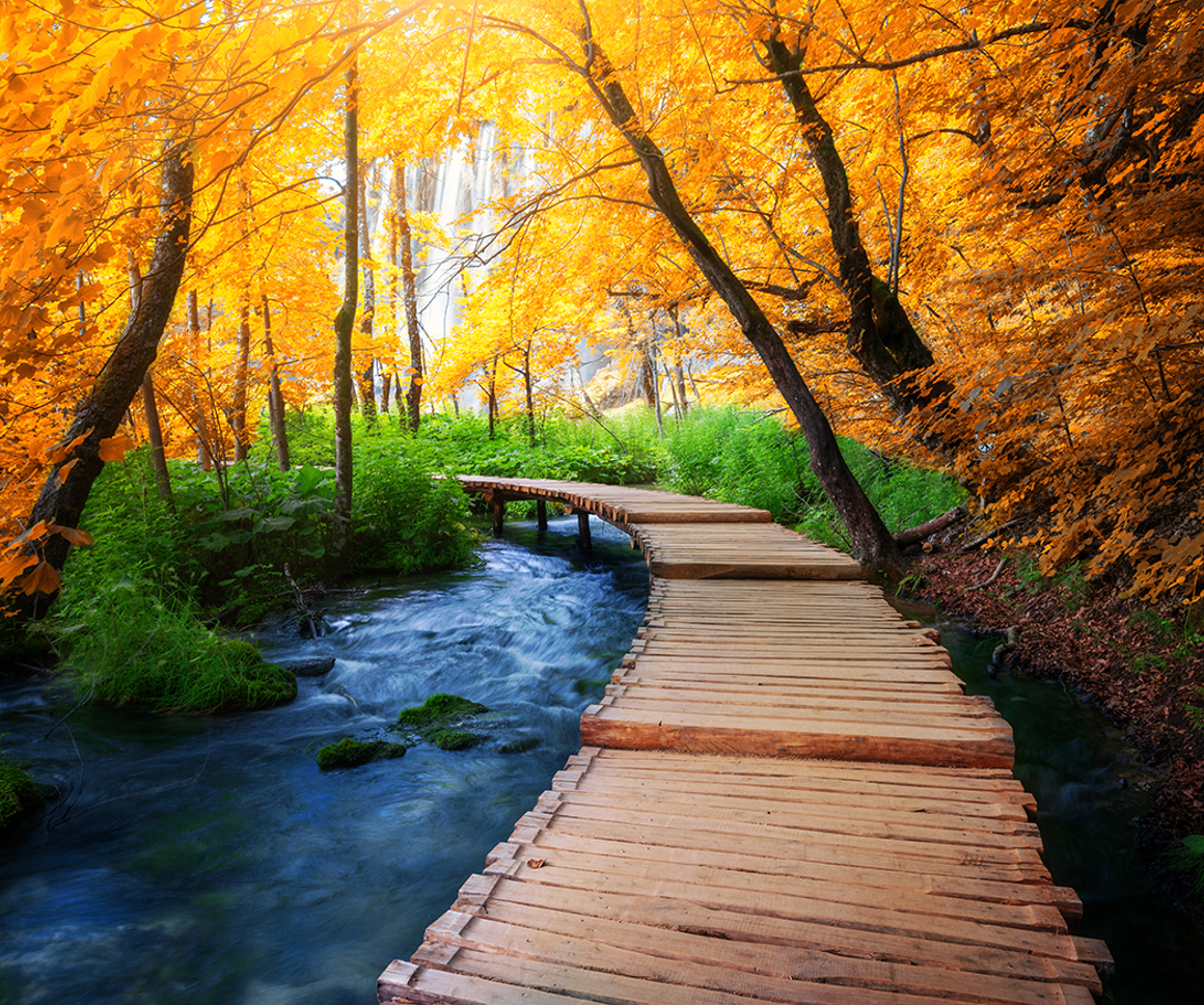 Wooden bridge crossing a river in an autumnal forest