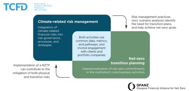 Infographic by TCFD and GFANZ illustrating the integration of climate-related risk management and net-zero transition planning.